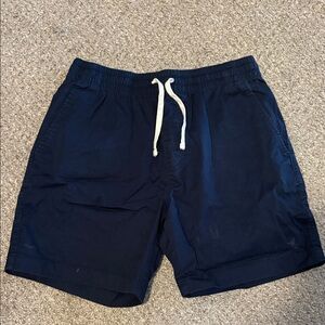J. Crew Navy Blue Men's Flat Front Shorts